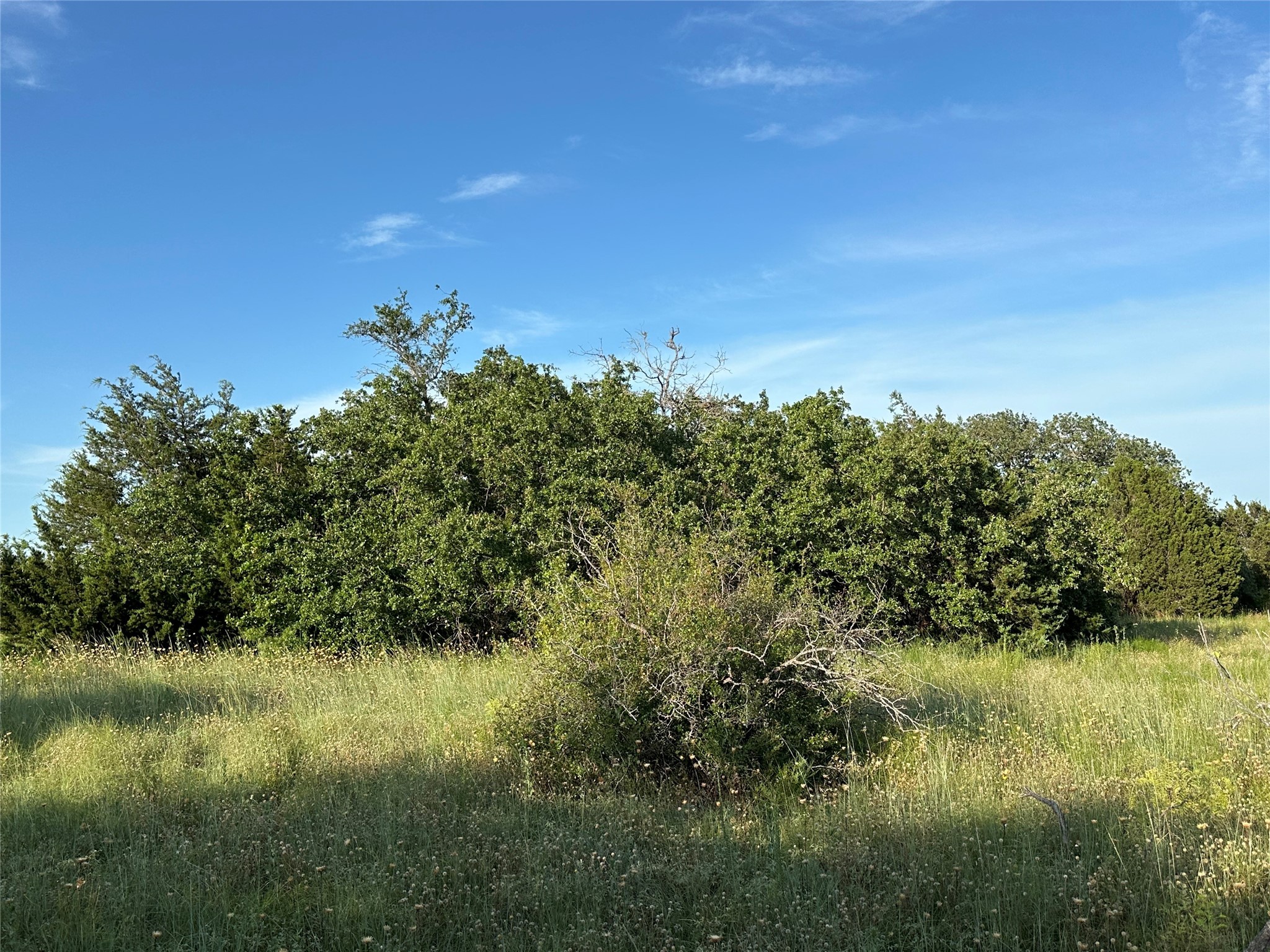 Tbd Highway 36 W Hamilton TX 76531