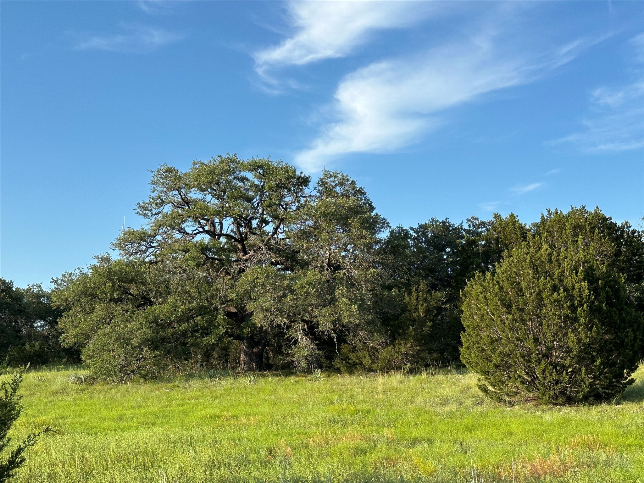 Tbd Highway 36 W Hamilton TX 76531