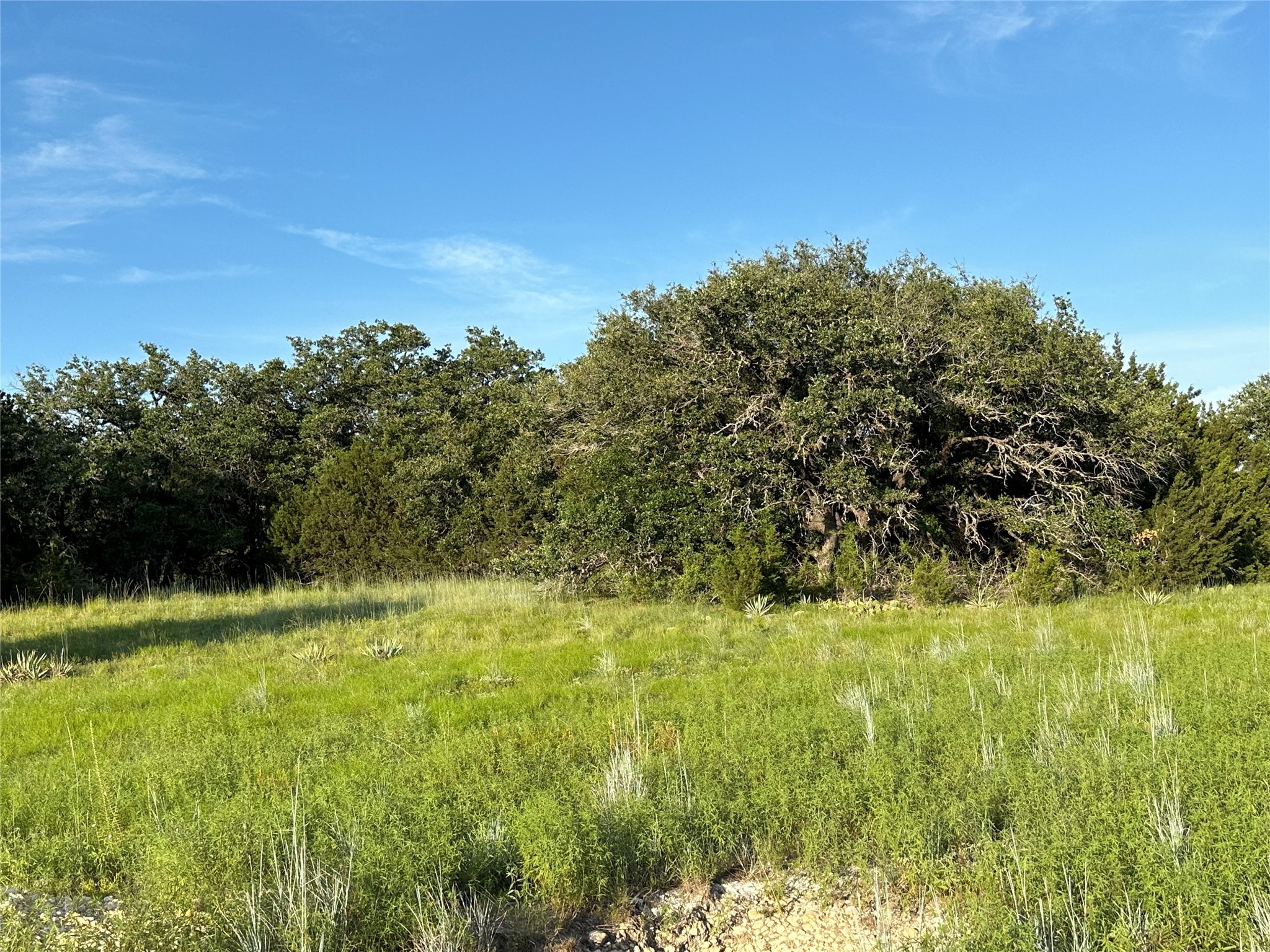 Tbd Highway 36 W Hamilton TX 76531