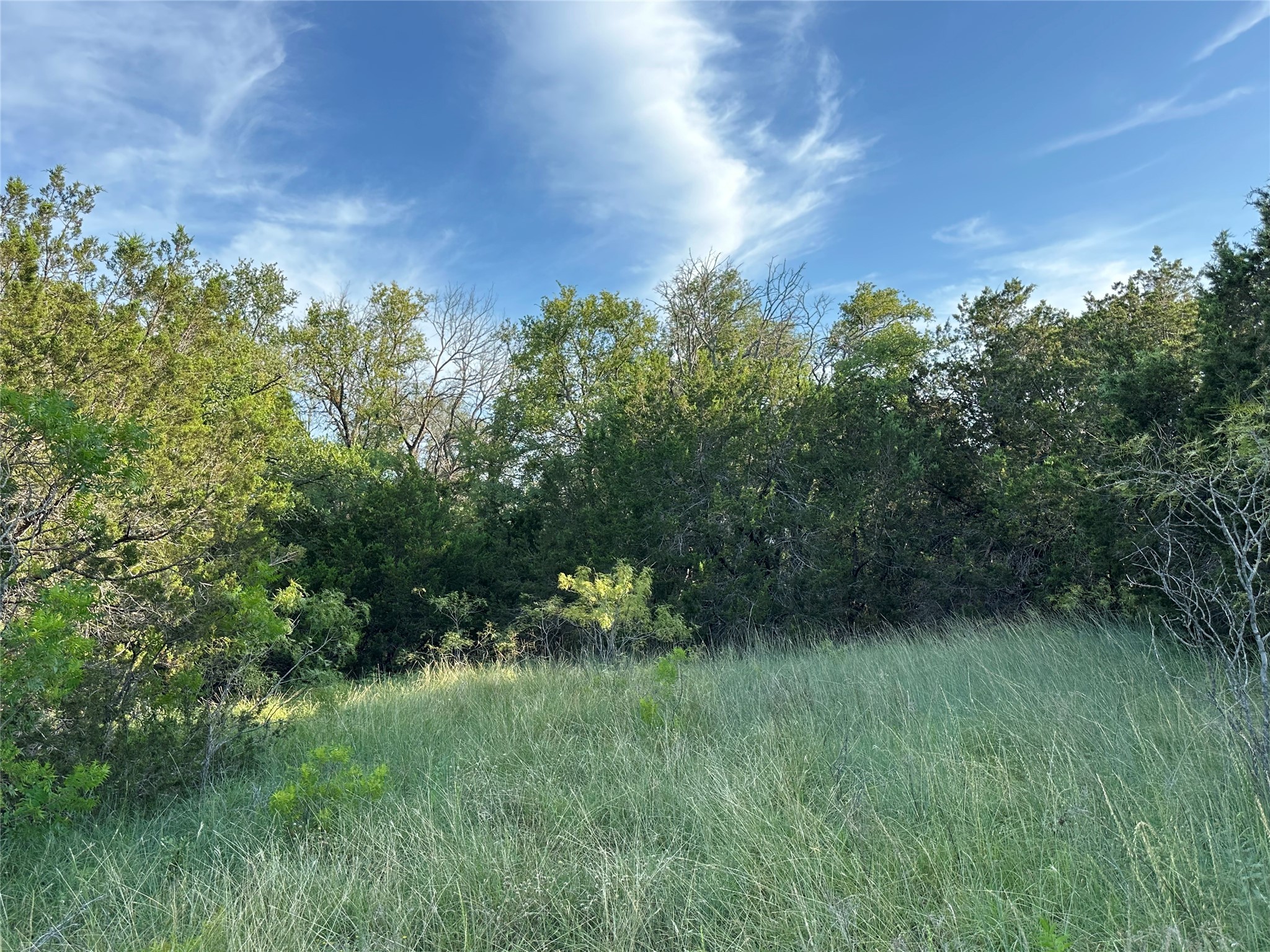 Tbd Highway 36 W Hamilton TX 76531