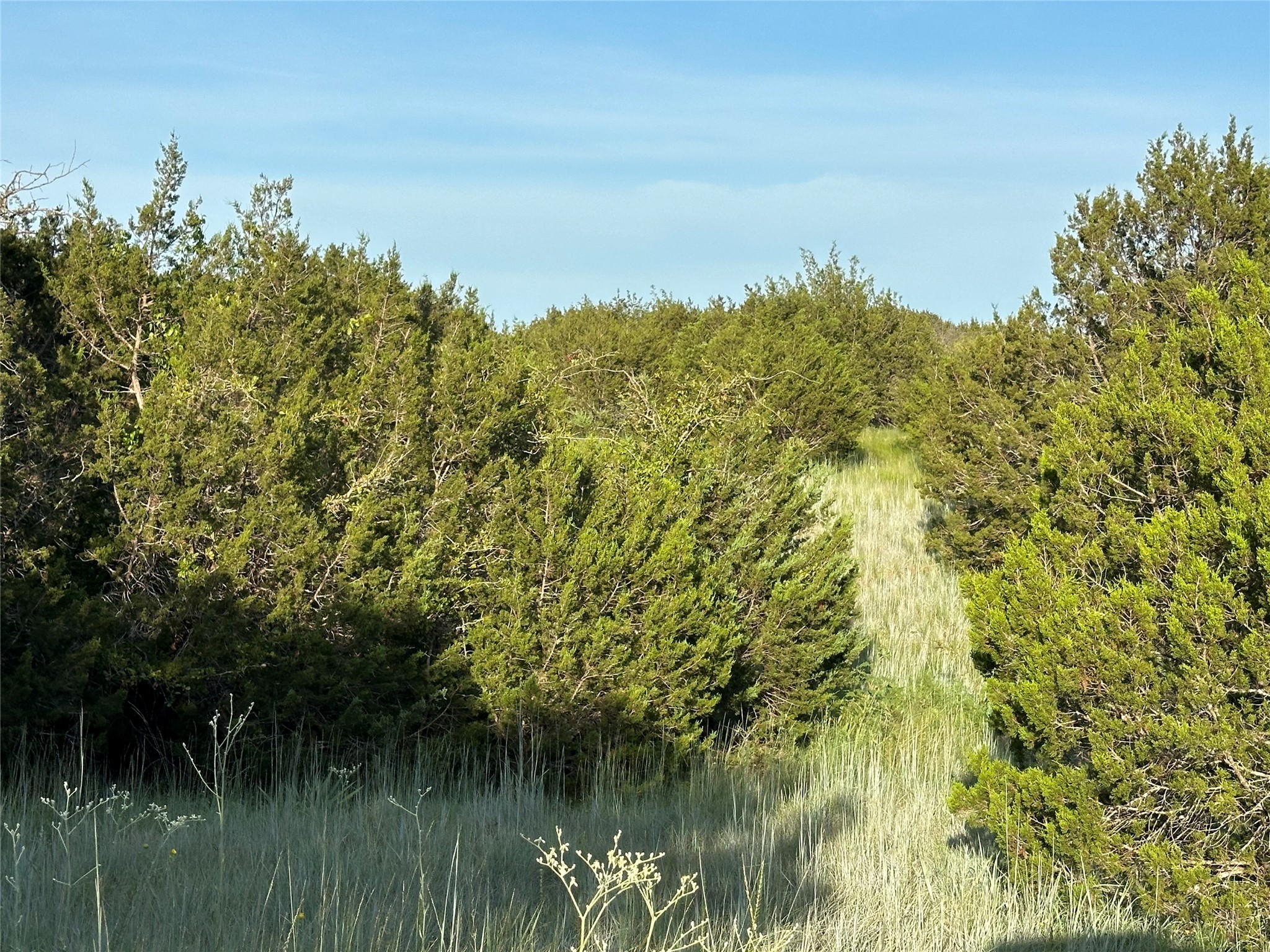 Tbd Highway 36 W Hamilton TX 76531