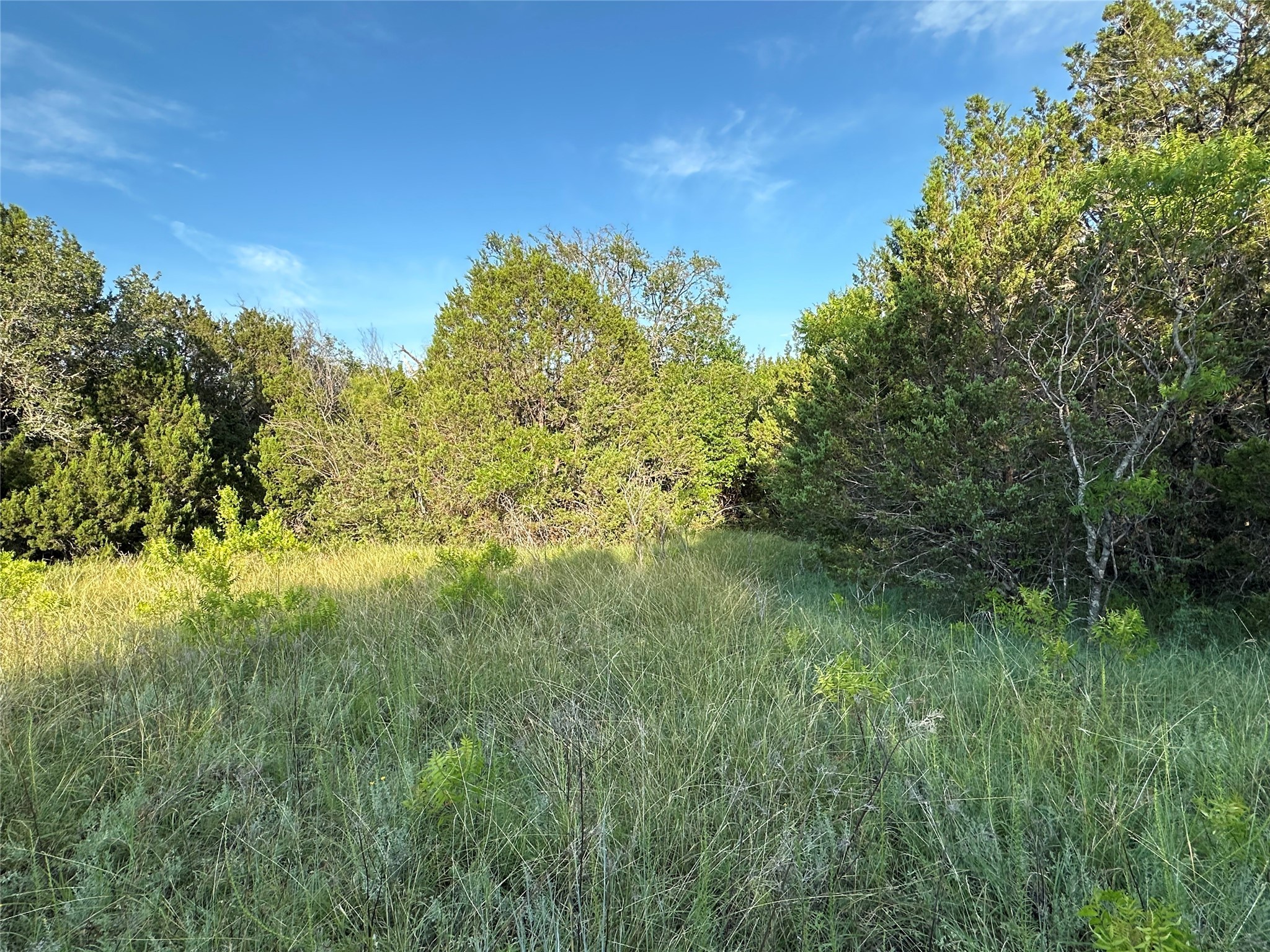 Tbd Highway 36 W Hamilton TX 76531