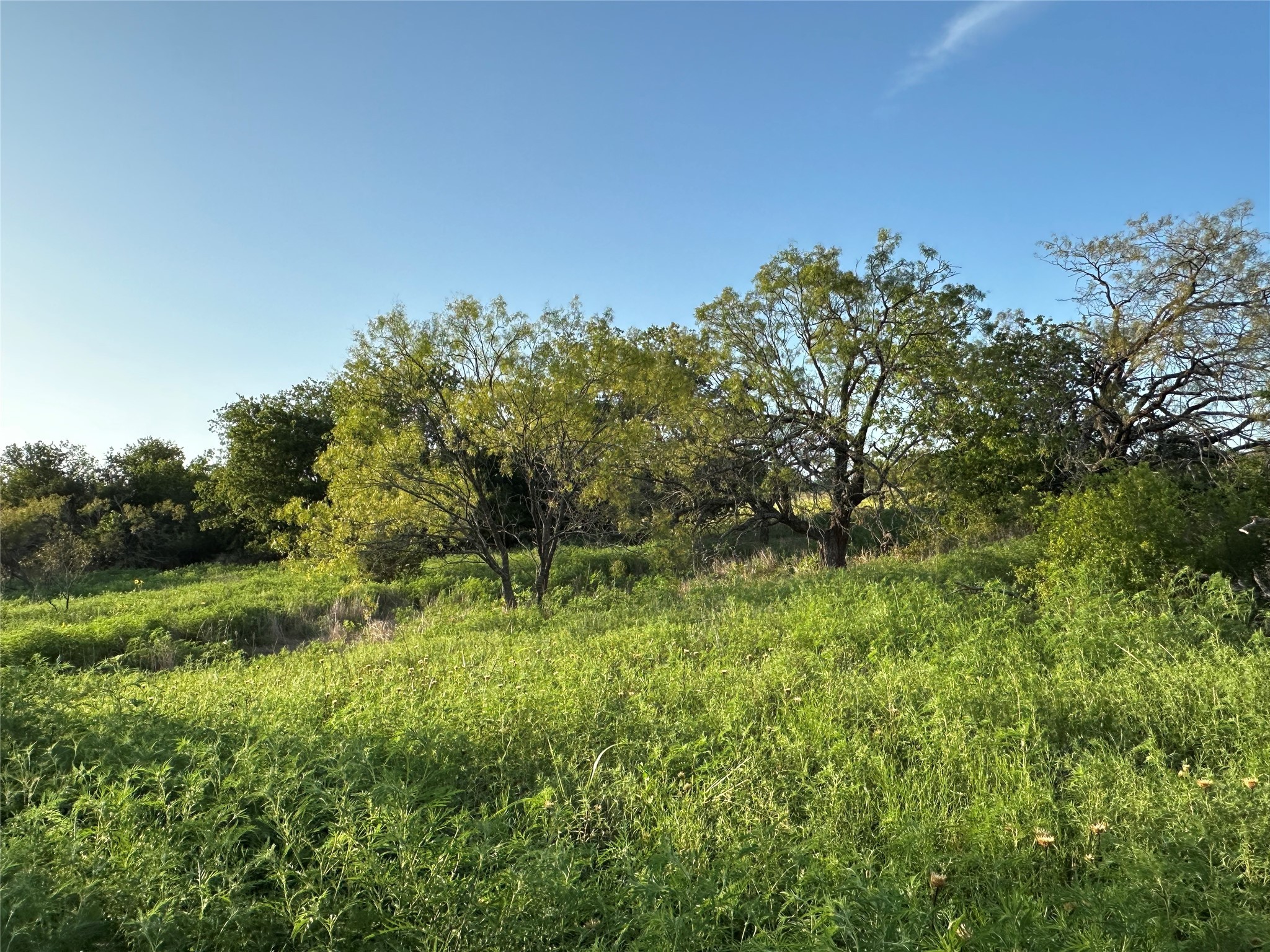 Tbd Highway 36 W Hamilton TX 76531