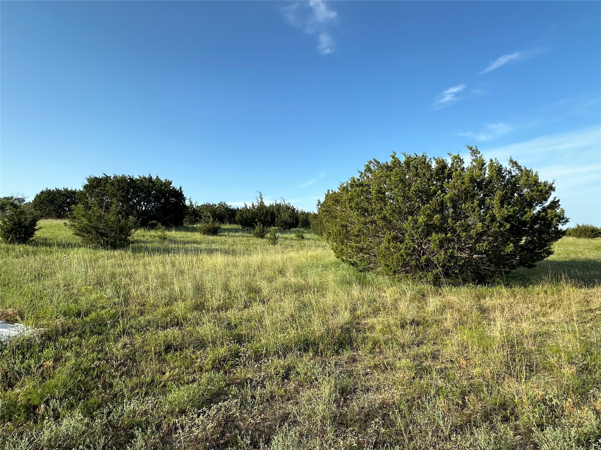 Tbd Highway 36 W Hamilton TX 76531