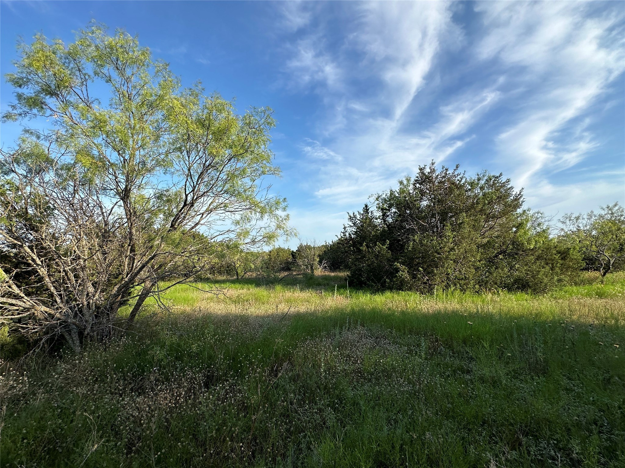 Tbd Highway 36 W Hamilton TX 76531