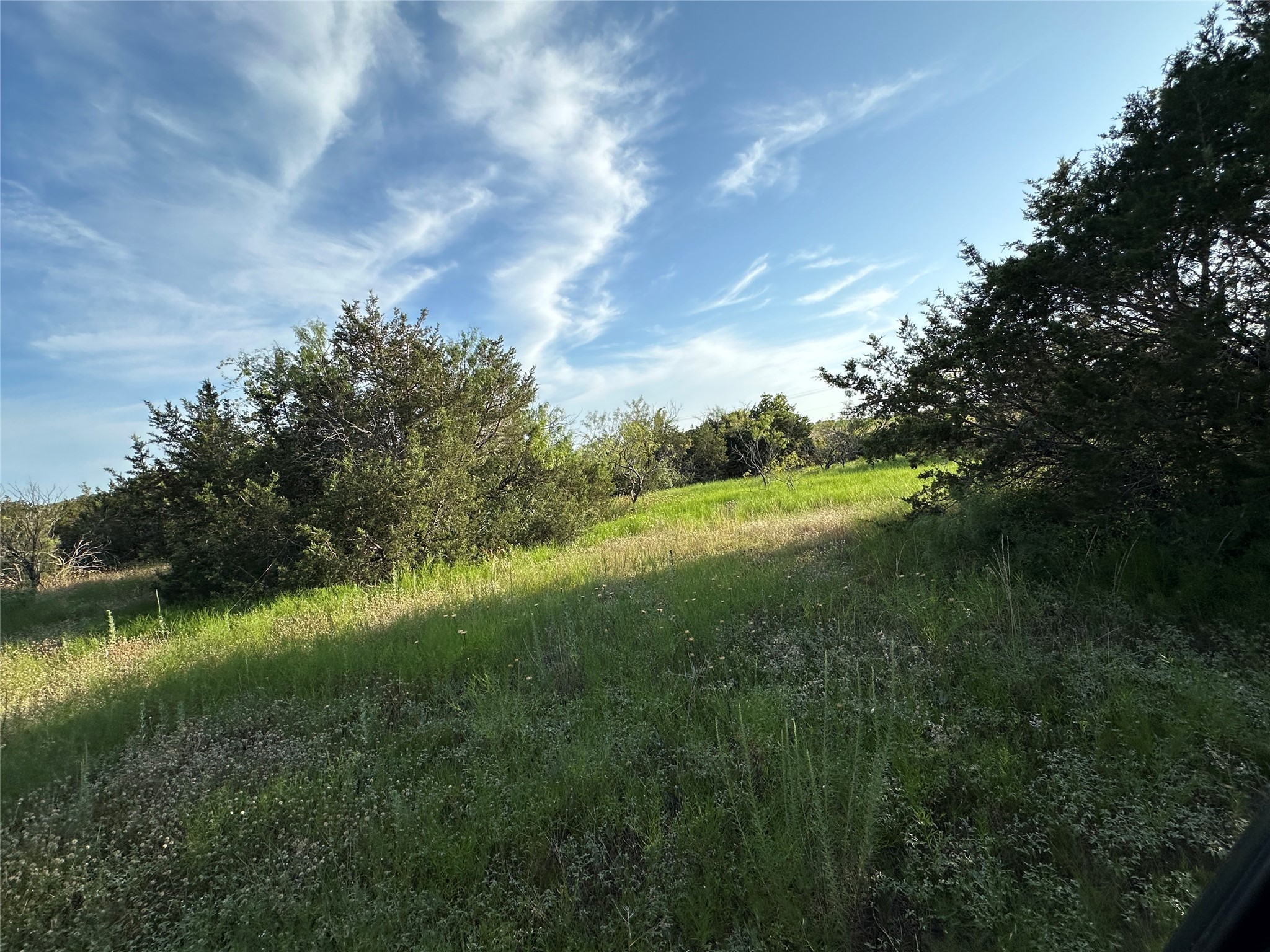 Tbd Highway 36 W Hamilton TX 76531