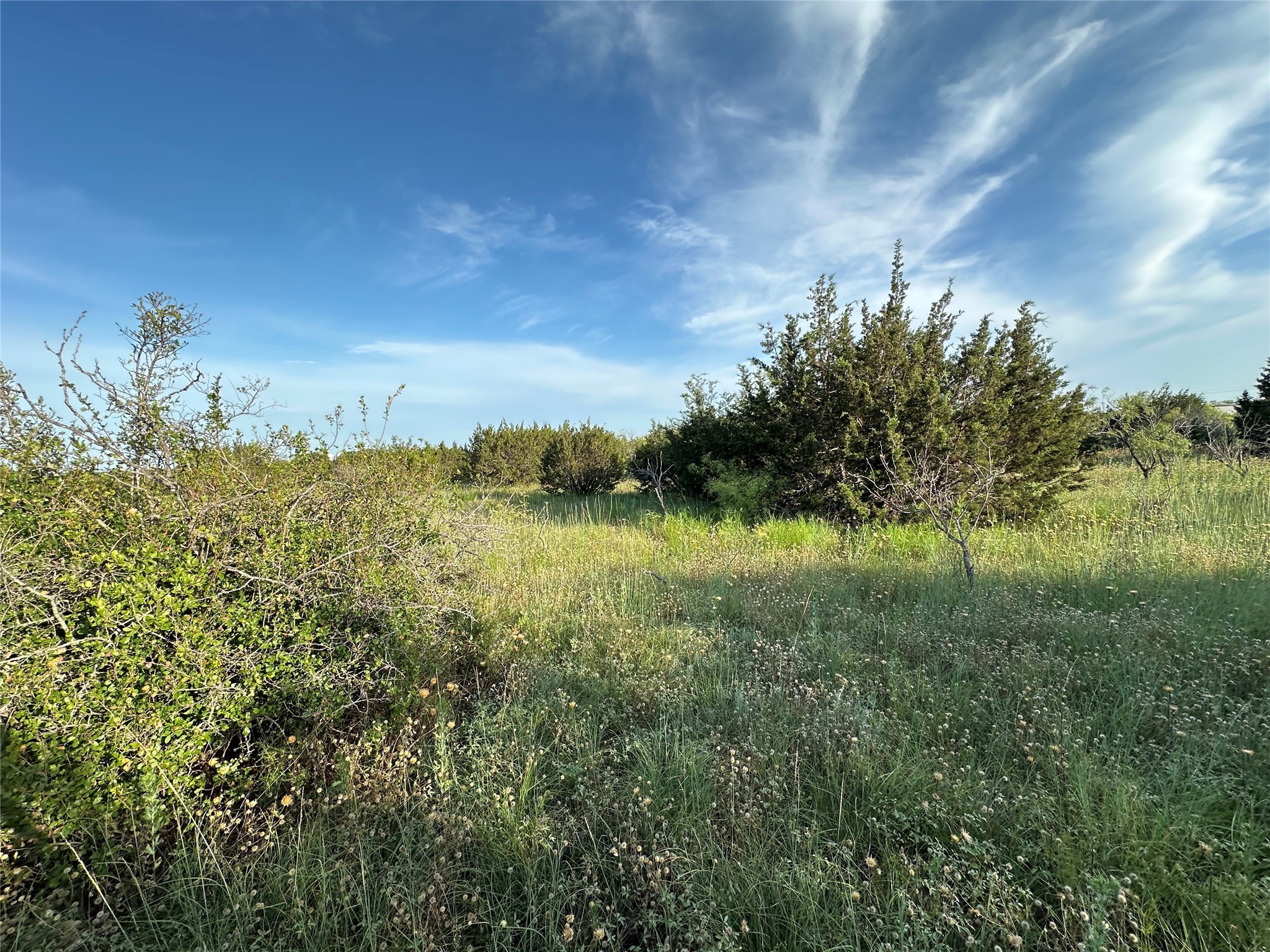 Tbd Highway 36 W Hamilton TX 76531