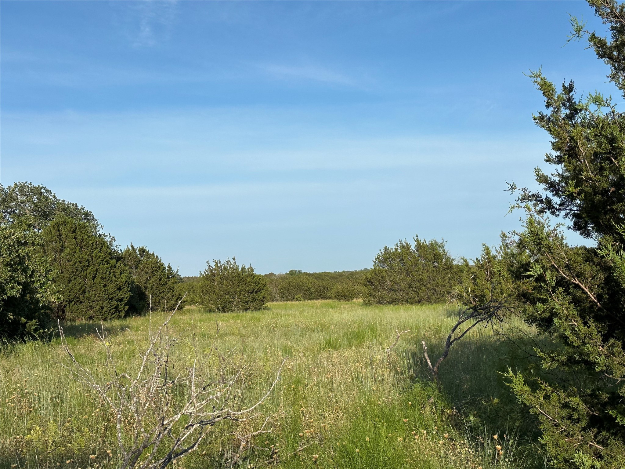 Tbd Highway 36 W Hamilton TX 76531
