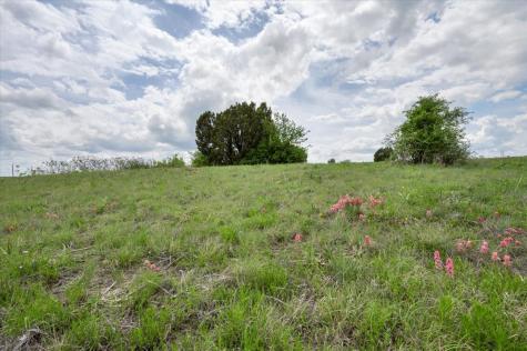 TBD Ava Grace Lane Dublin TX 76446