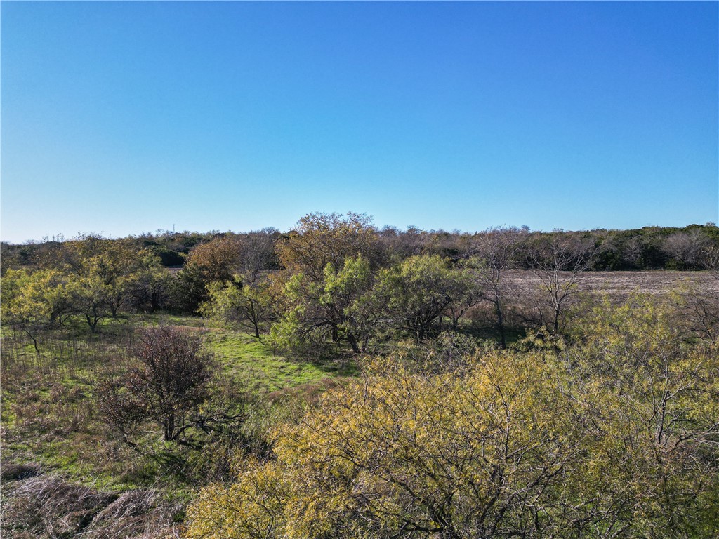 Tbd Tract 6 Talbert Ranch Road China Spring TX 76633