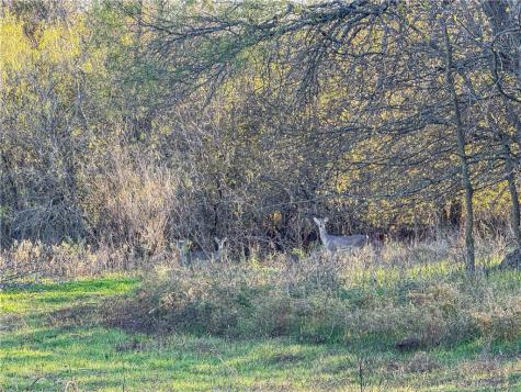 Tbd Tract 6 Talbert Ranch Road China Spring TX 76633