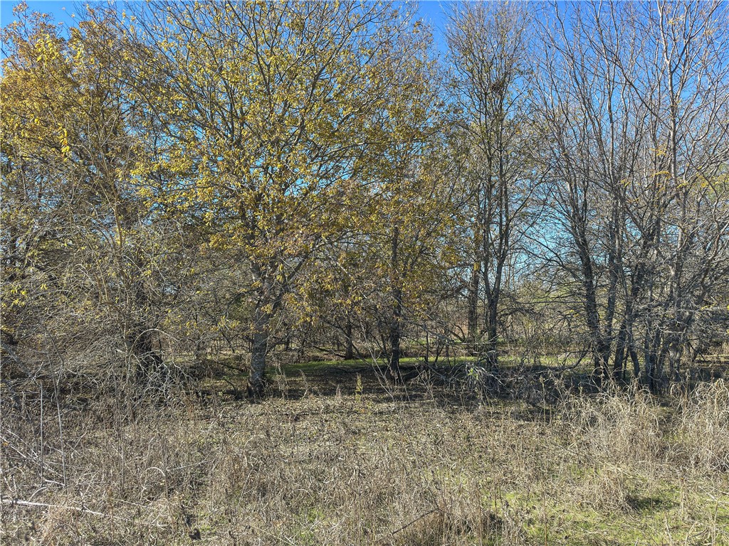 Tbd Tract 6 Talbert Ranch Road China Spring TX 76633