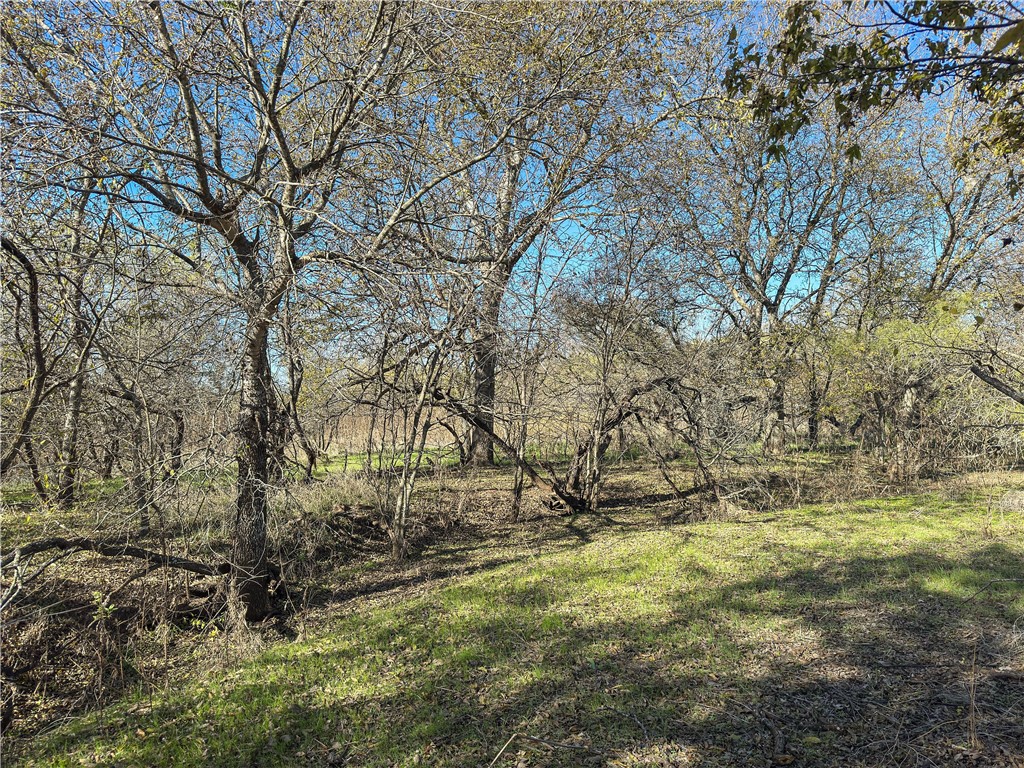 Tbd Tract 6 Talbert Ranch Road China Spring TX 76633