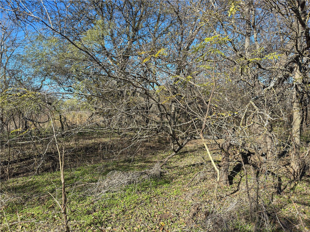 Tbd Tract 6 Talbert Ranch Road China Spring TX 76633
