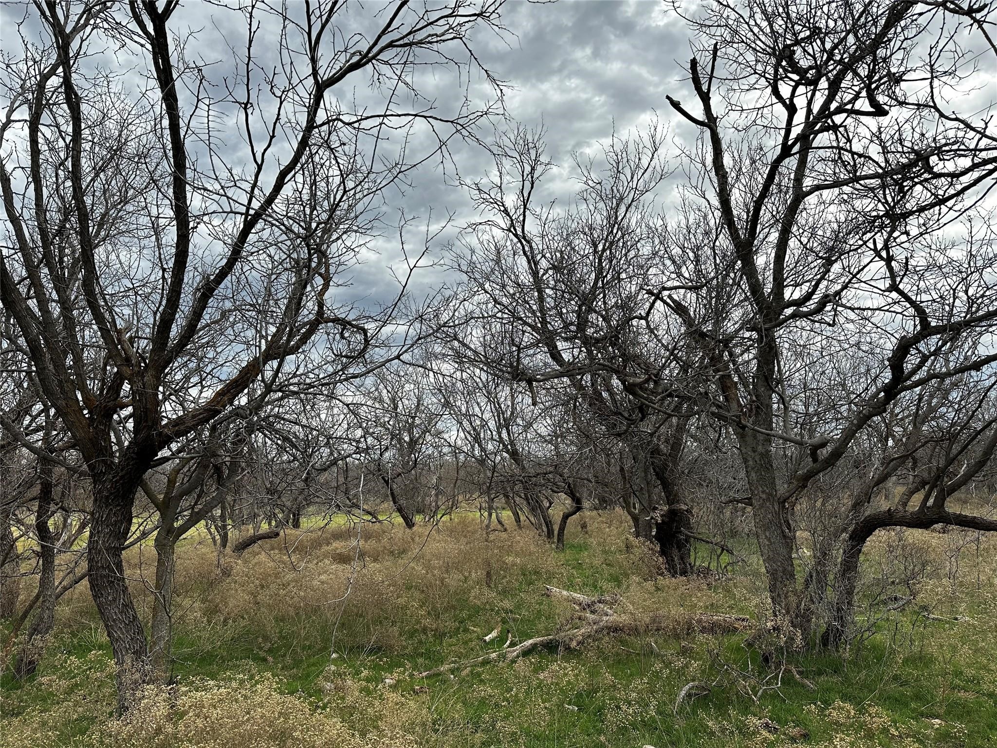 Tract 13 Ac Cr 105 Abilene TX 79601