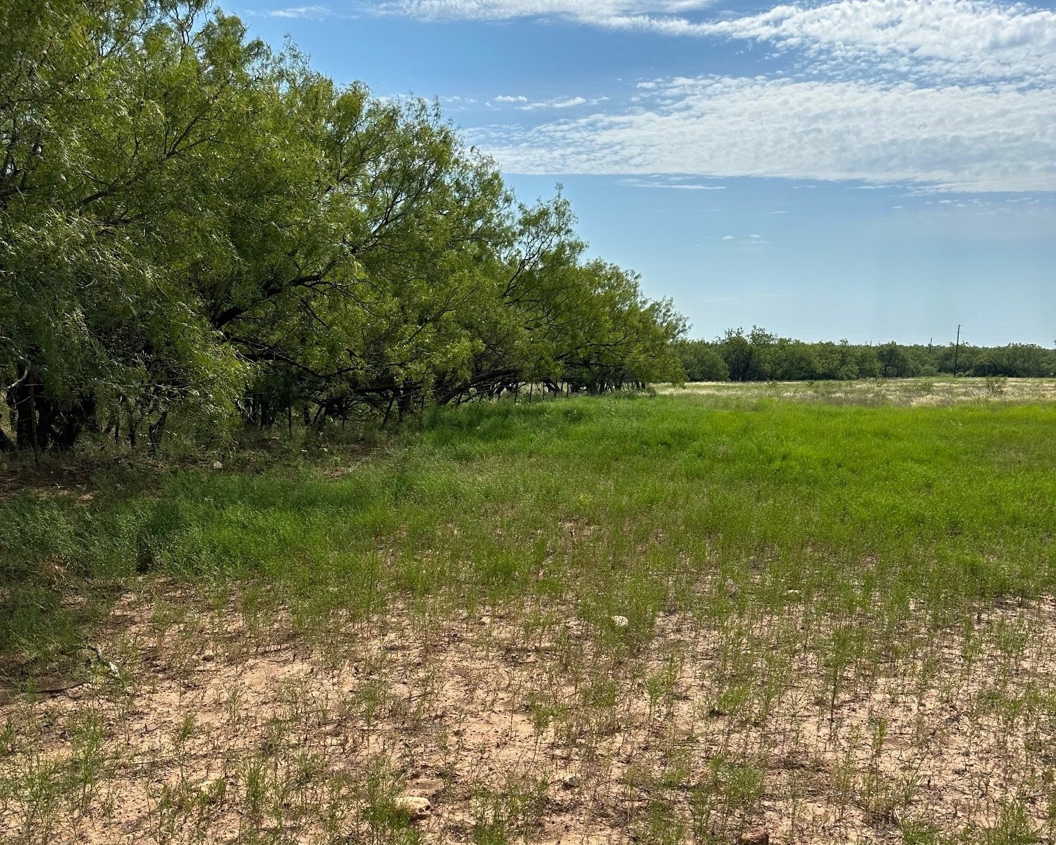 Tract 13 Ac Cr 105 Abilene TX 79601