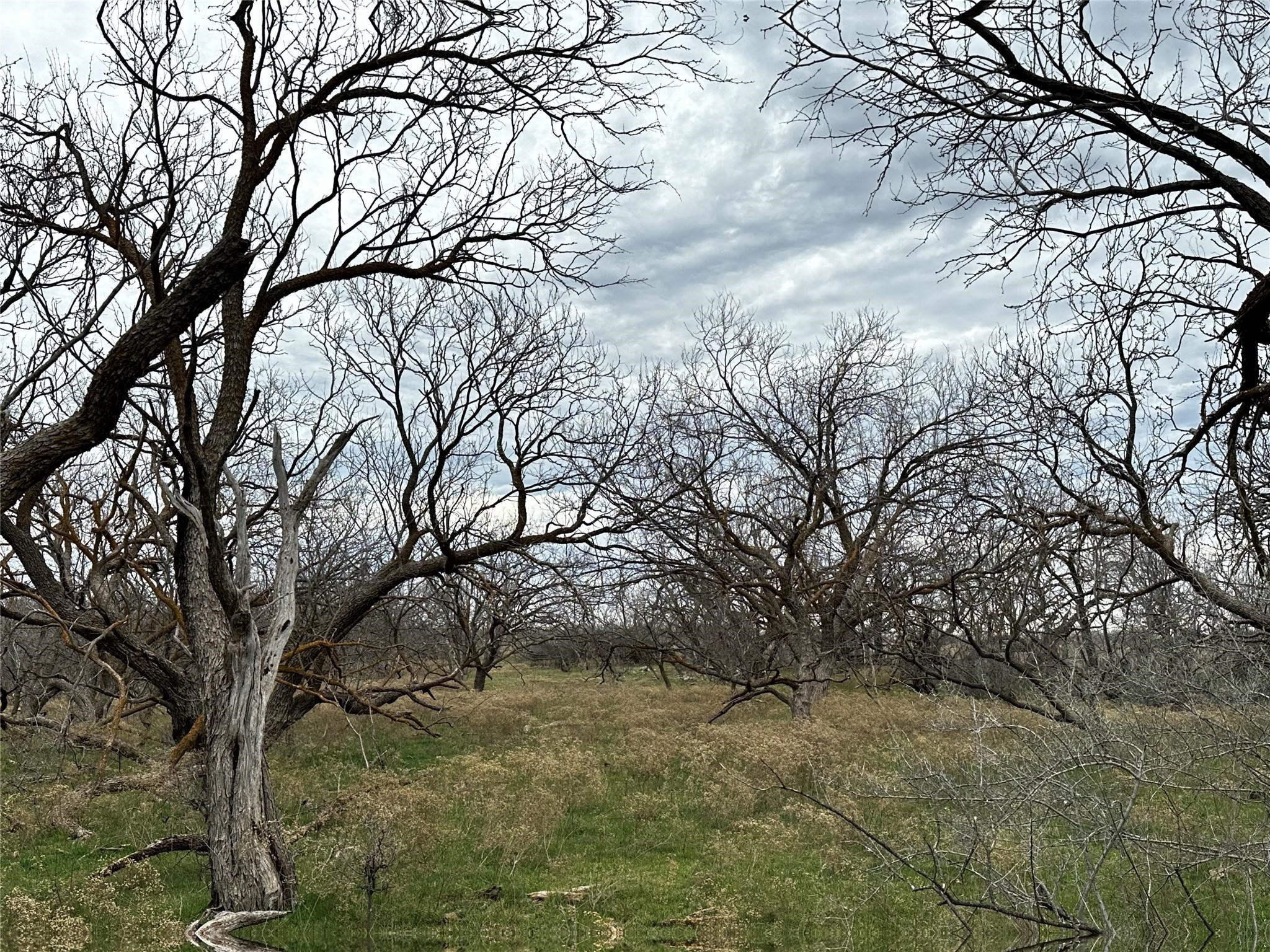 Tract 13 Ac Cr 105 Abilene TX 79601