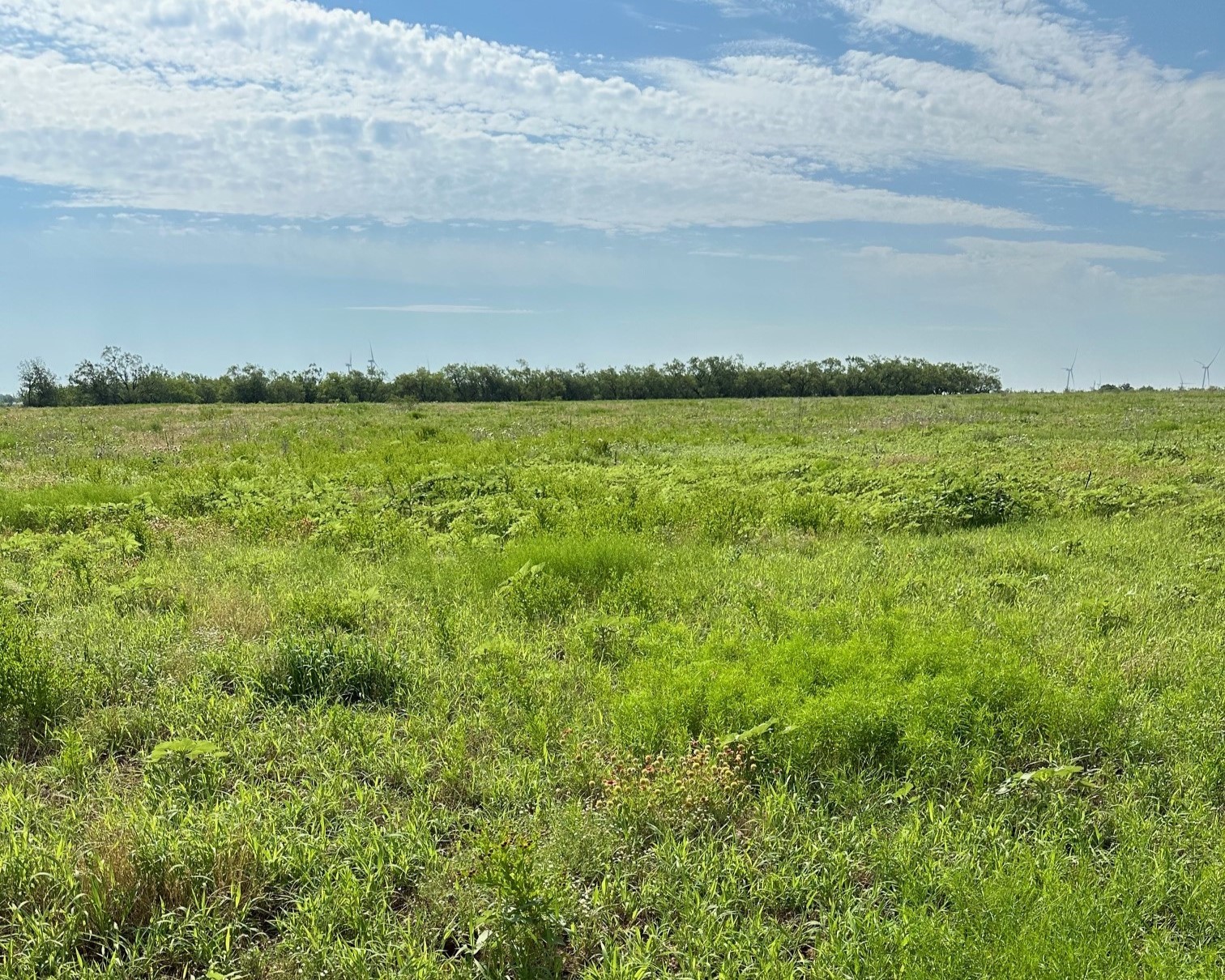 Tract 13 Ac Cr 105 Abilene TX 79601