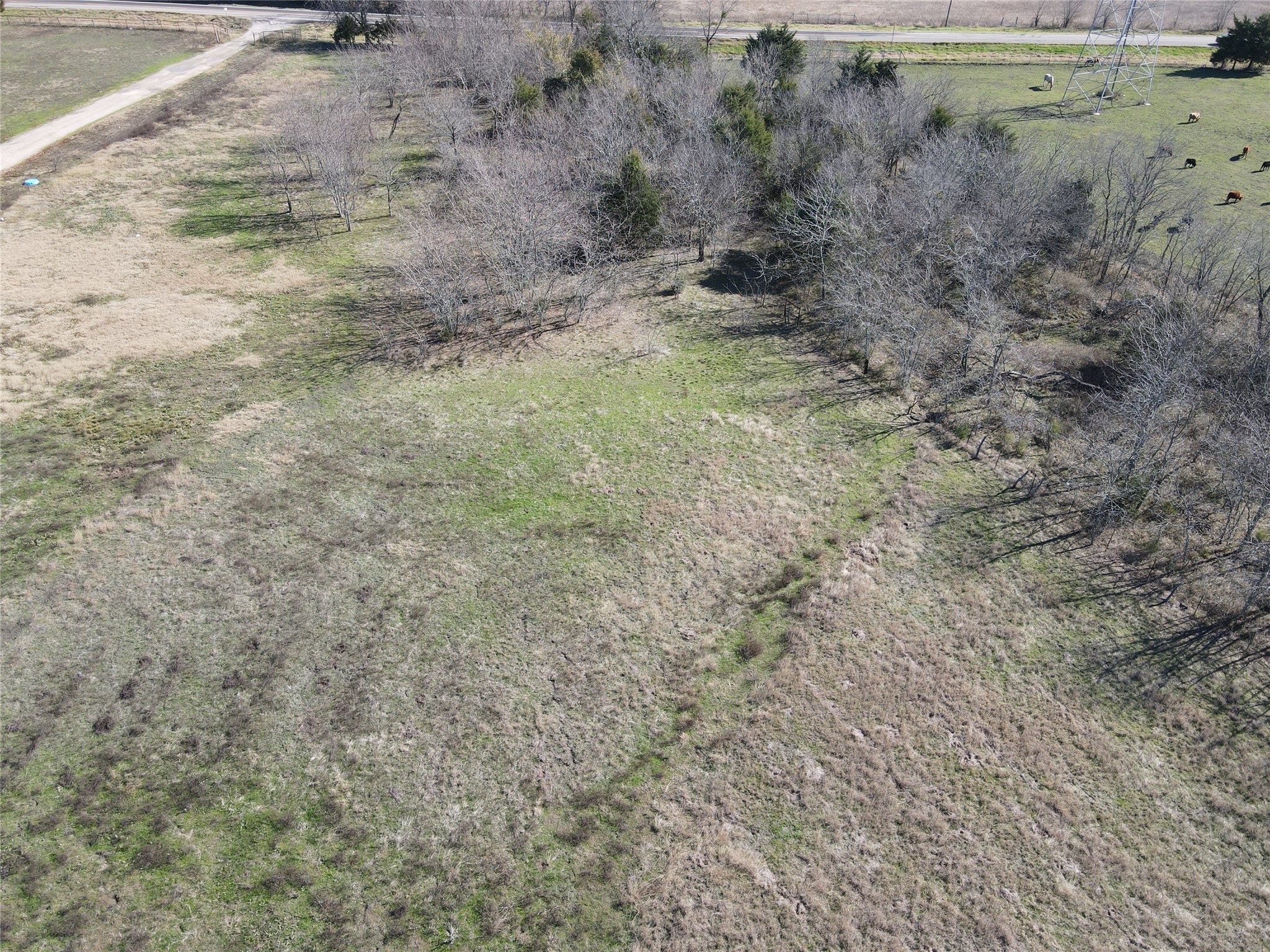 4028 Dove Street Greenville TX 75401