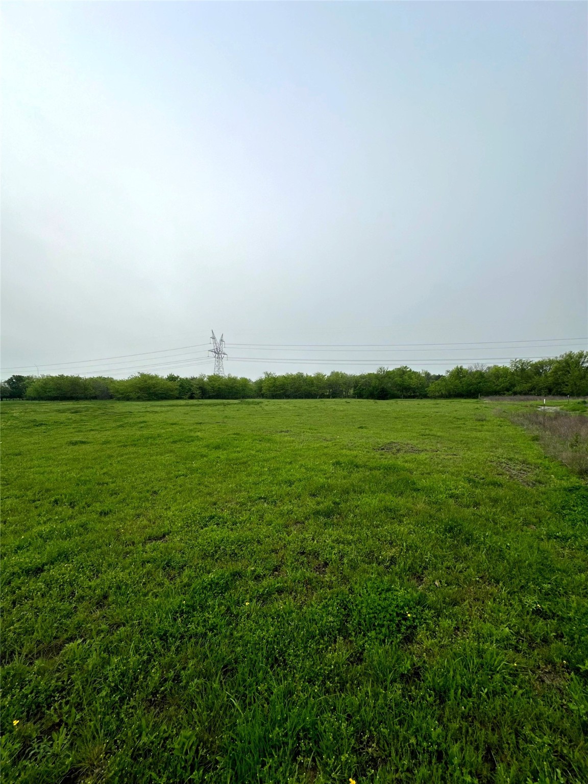 4028 Dove Street Greenville TX 75401
