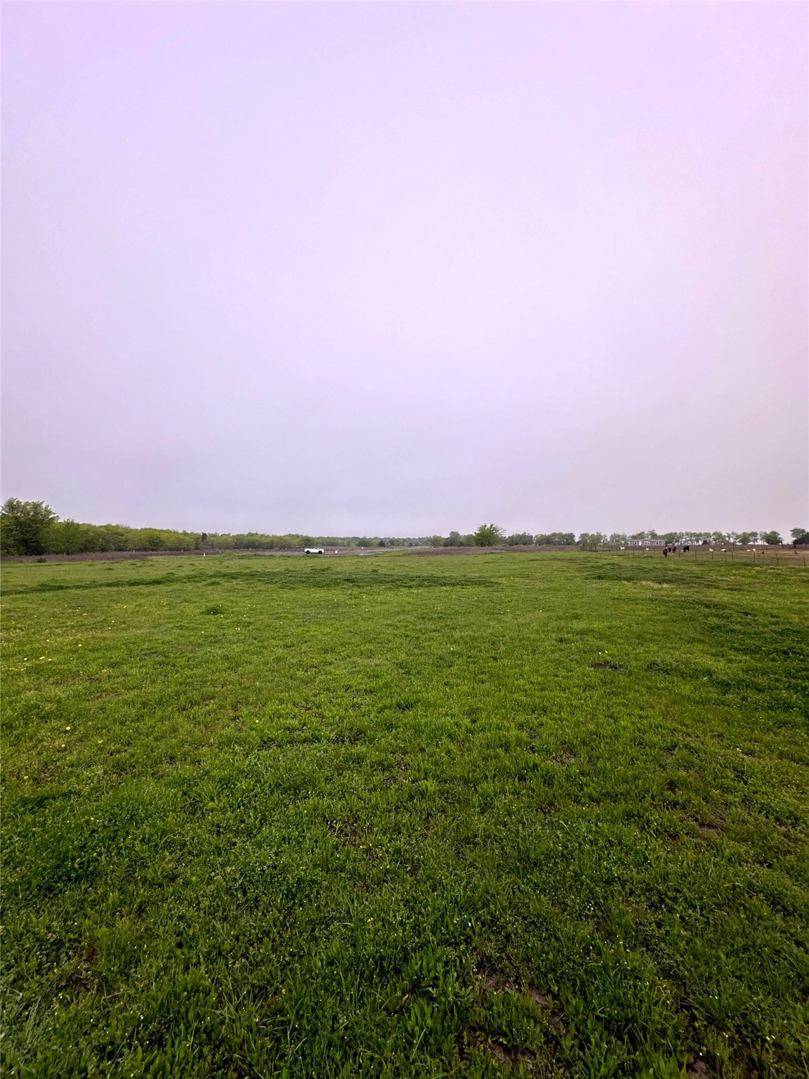 4028 Dove Street Greenville TX 75401