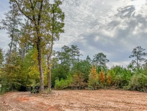 06 Cr 2305 S Cleveland TX 77327