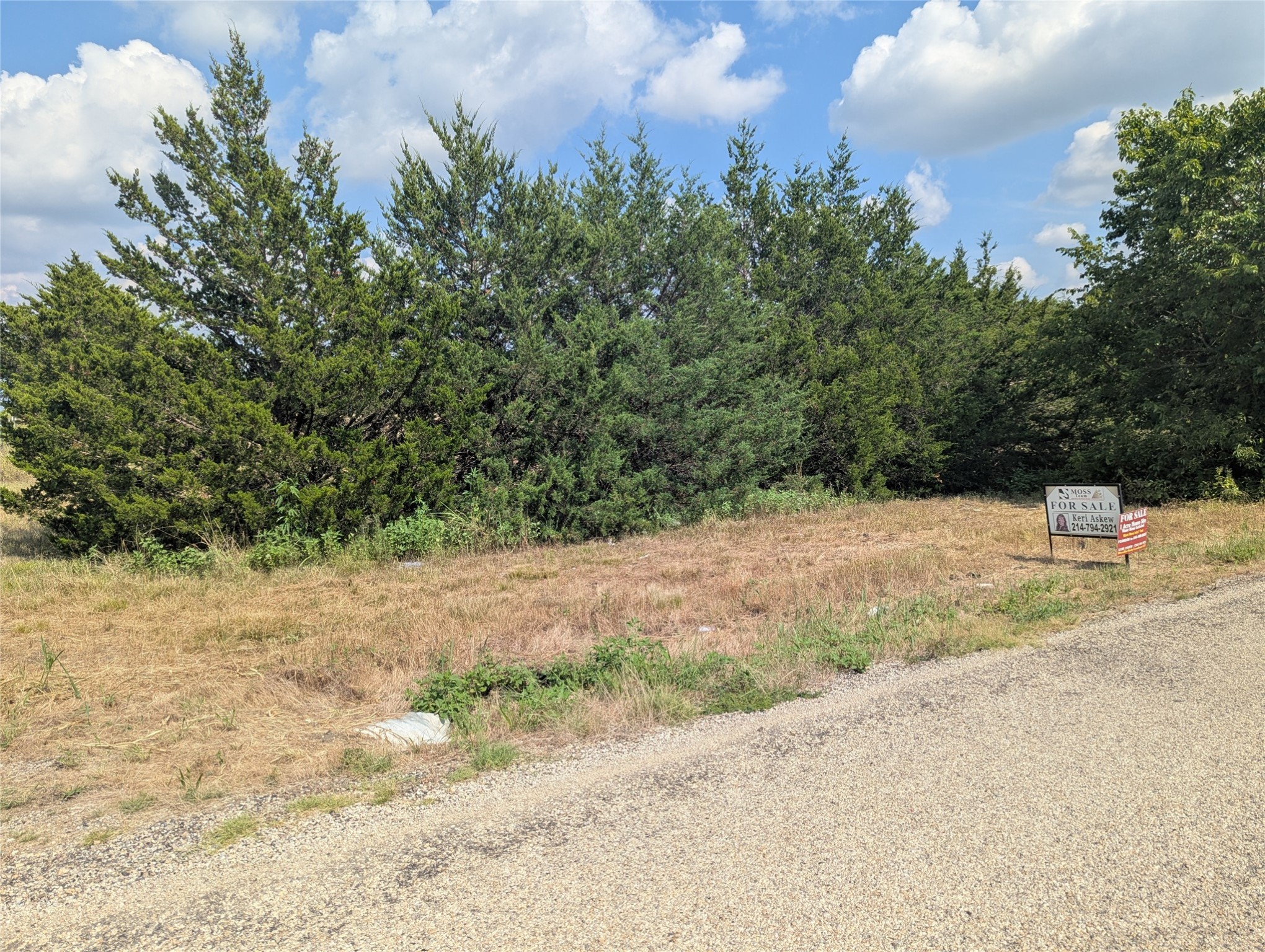 11008 County Road 670 Blue Ridge TX 75424