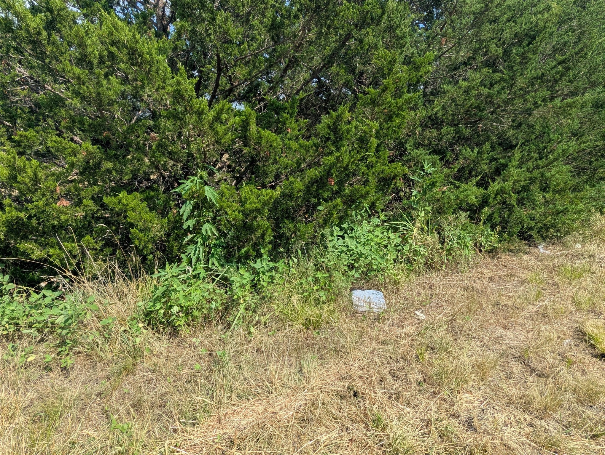 11008 County Road 670 Blue Ridge TX 75424
