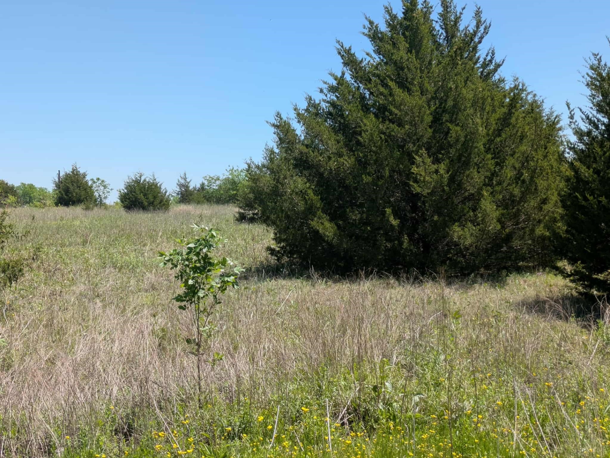 11008 County Road 670 Blue Ridge TX 75424
