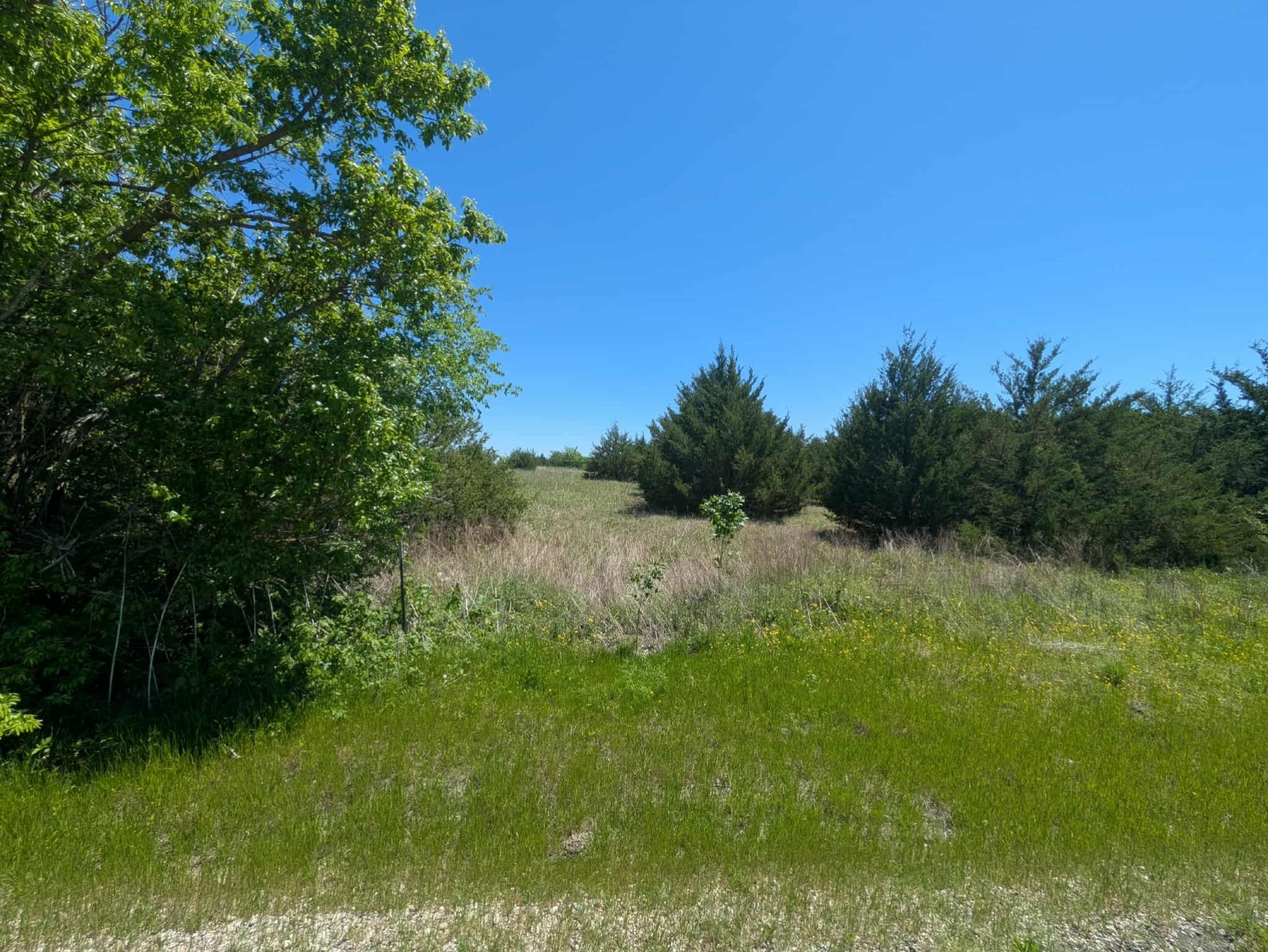 11008 County Road 670 Blue Ridge TX 75424
