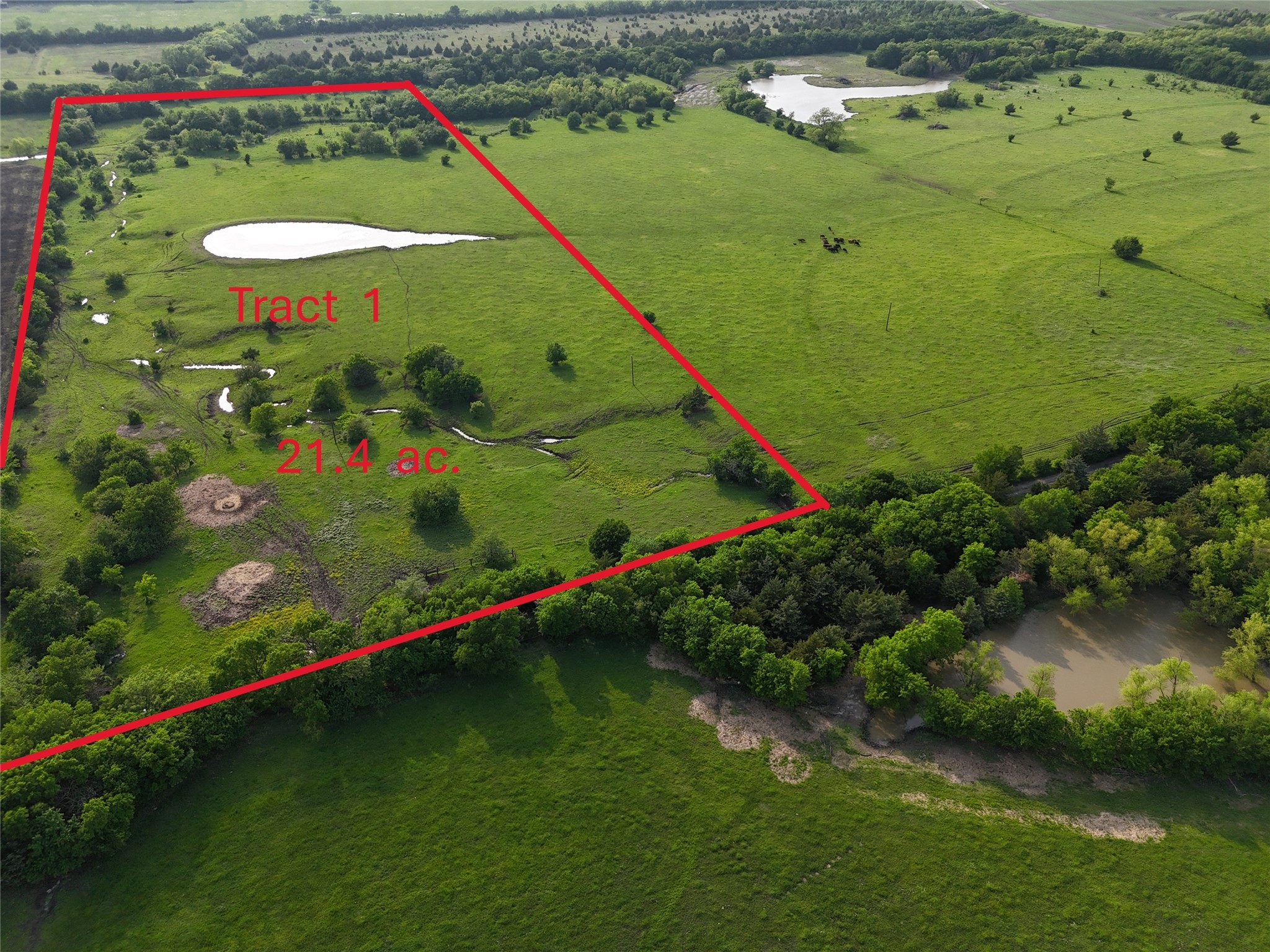 Tbd Cr 4841 Tract 1 Leonard TX 75452