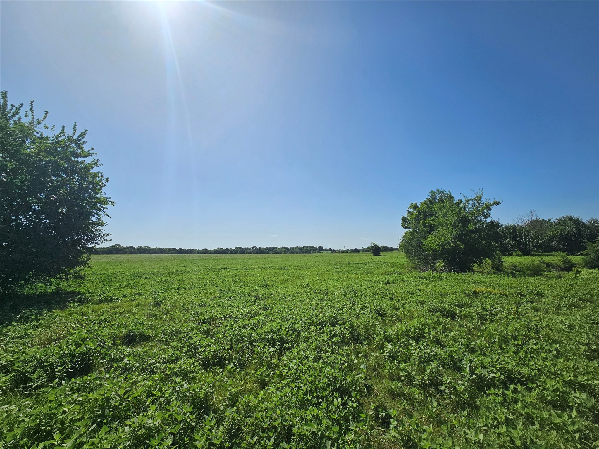 Tbd Cr 4841 Tract 1 Leonard TX 75452
