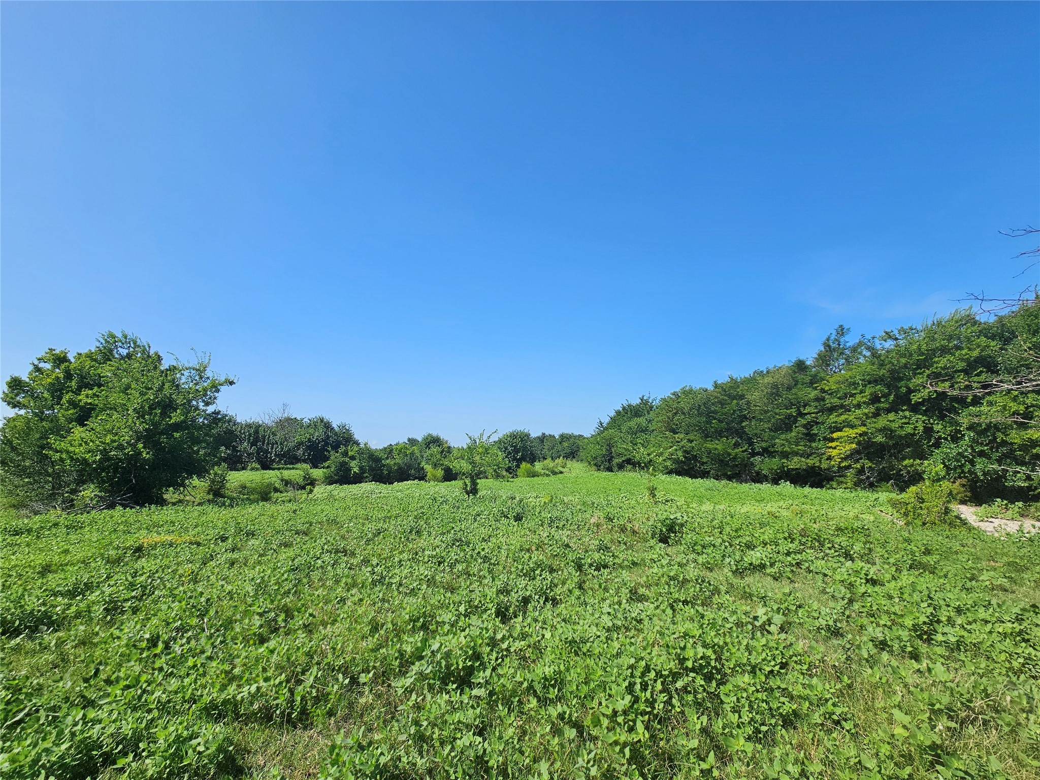 Tbd Cr 4841 Tract 1 Leonard TX 75452