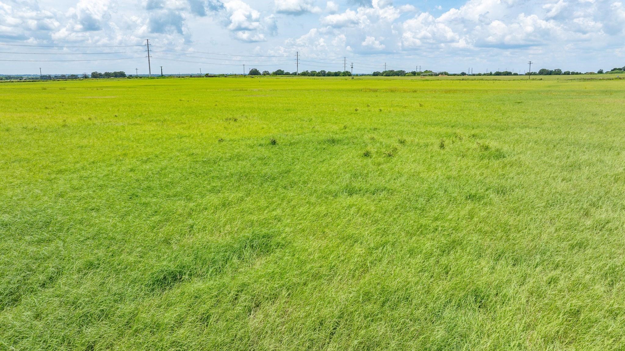 Tbd County Road 494 (W) De Leon TX 76444