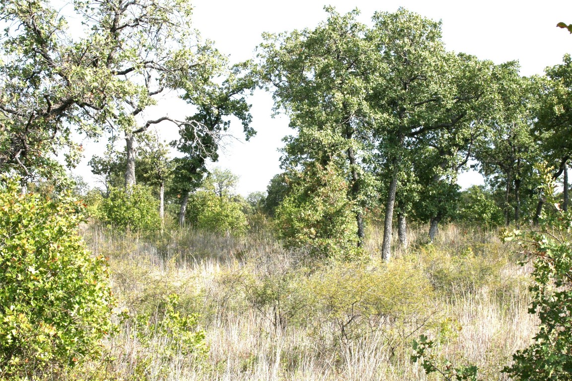 D69 Hensley Road Gordon TX 76453