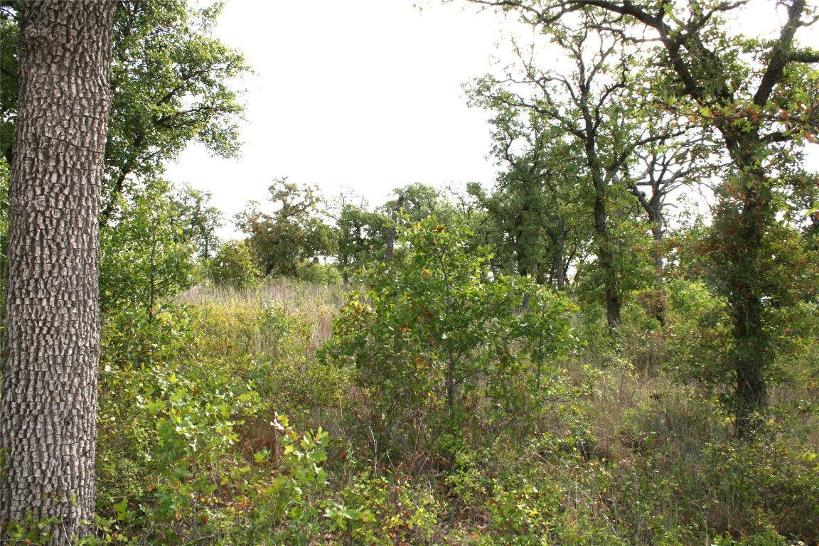 D69 Hensley Road Gordon TX 76453