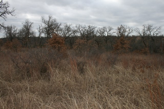 D69 Hensley Road Gordon TX 76453