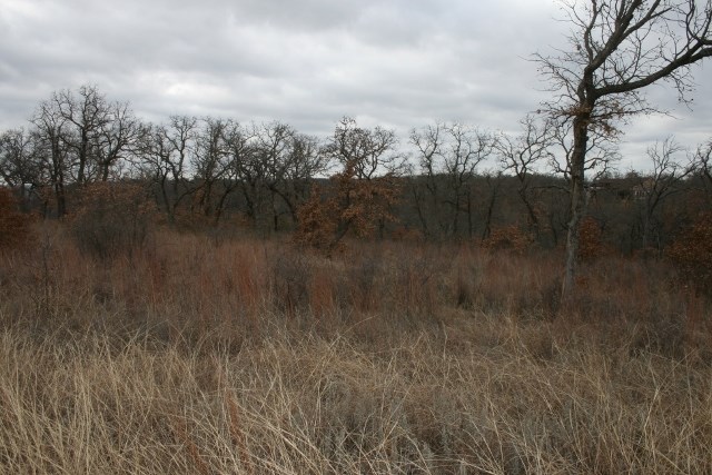 D69 Hensley Road Gordon TX 76453
