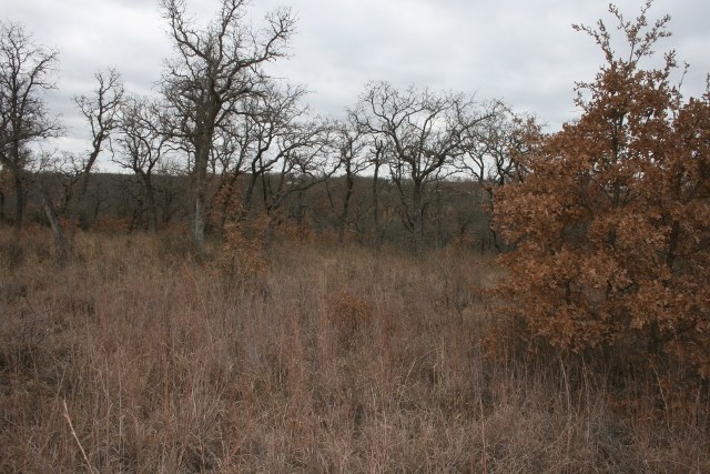 D69 Hensley Road Gordon TX 76453