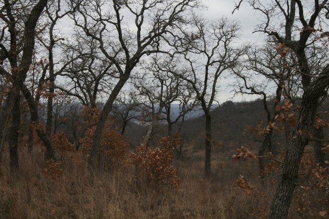 D69 Hensley Road Gordon TX 76453