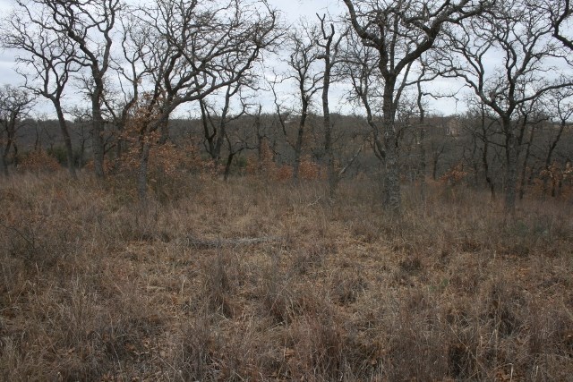 D69 Hensley Road Gordon TX 76453
