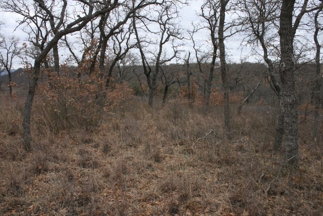 D69 Hensley Road Gordon TX 76453