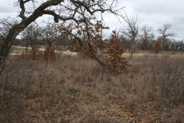 D69 Hensley Road Gordon TX 76453