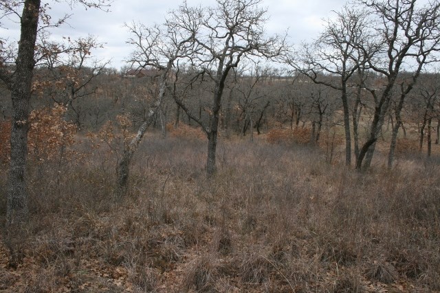 D69 Hensley Road Gordon TX 76453