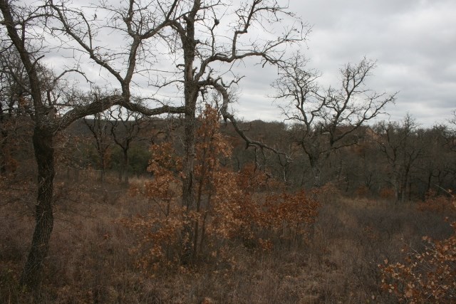 D69 Hensley Road Gordon TX 76453