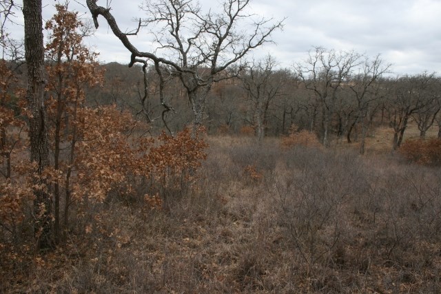 D69 Hensley Road Gordon TX 76453