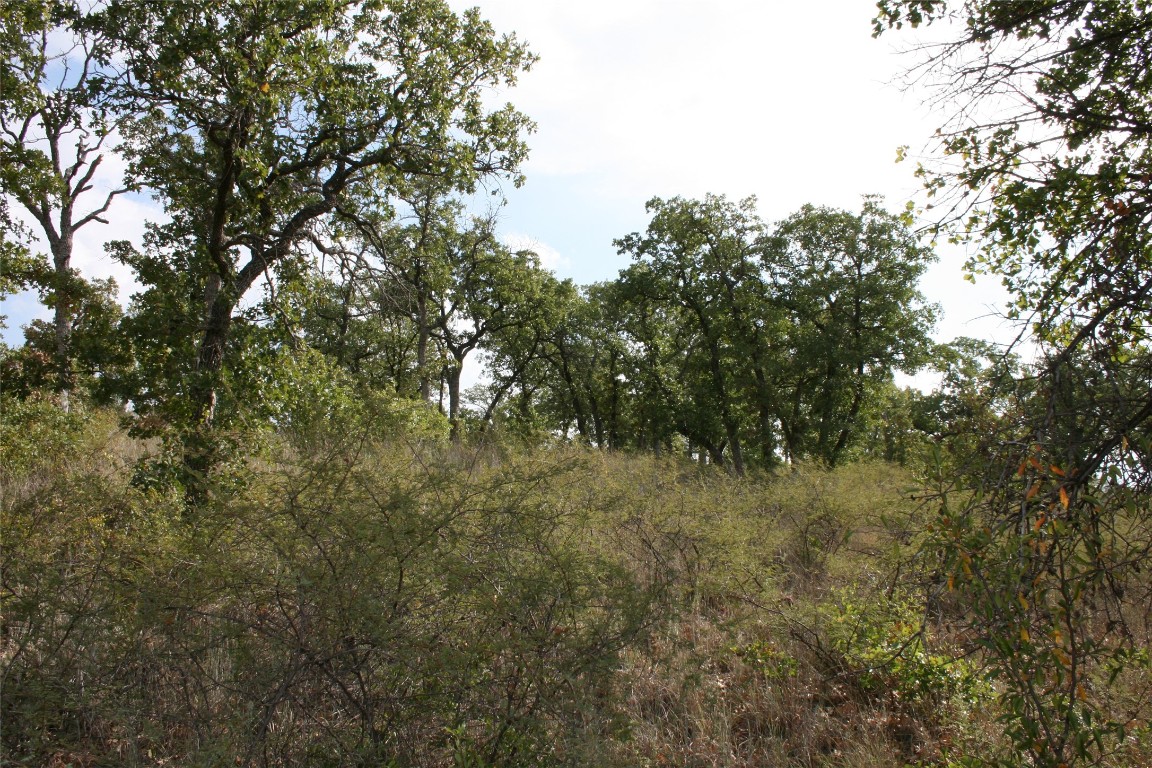 D69 Hensley Road Gordon TX 76453