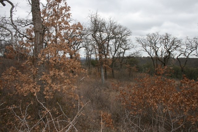 D69 Hensley Road Gordon TX 76453