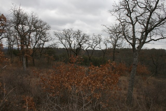 D69 Hensley Road Gordon TX 76453