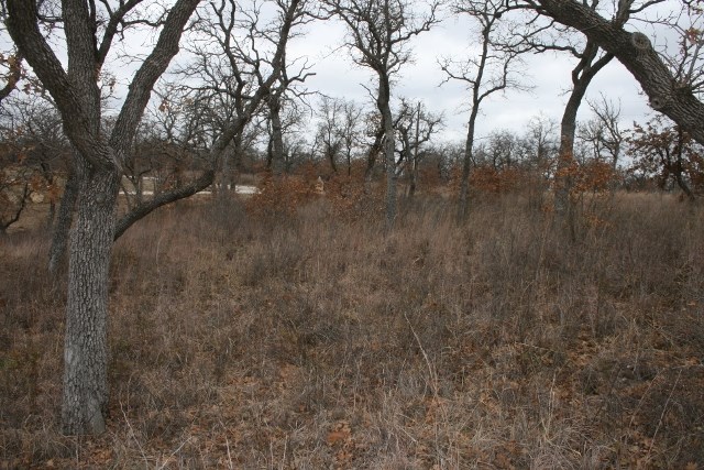 D69 Hensley Road Gordon TX 76453